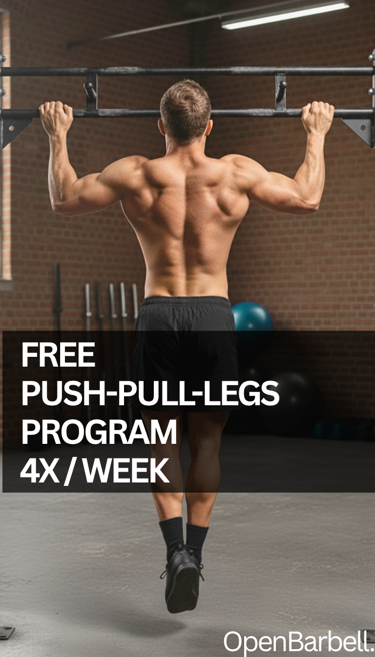 Free Push-Pull-Legs-Full Body Workout Program, 4 Days/Week